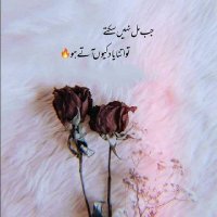 Mohsin Malik (@mohsin_malik804) 's Twitter Profile