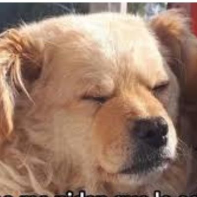 deennnnnv's profile picture. diary of feelings and thoughtsss