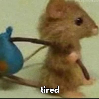 wellindo_'s profile picture. 
