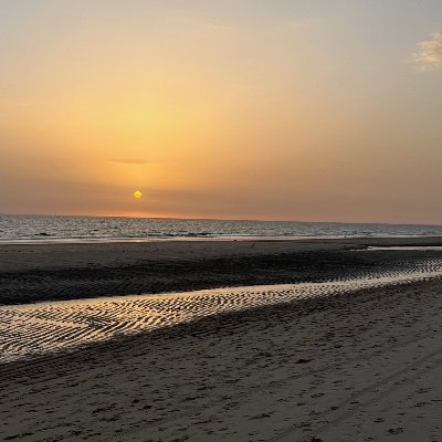 vivoenmairena's profile picture. 