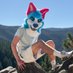 Rocket Pup ๐ ๐ FWA (@arocketpup) Twitter profile photo Rocket Pup ๐ ๐ FWA (@arocketpup) Twitter profile photo