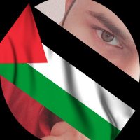 What? 🇵🇸 (@kaikutumaku) 's Twitter Profile Photo