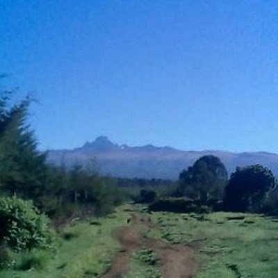 njeri25384's profile picture. Mason