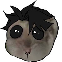 Kirisy (@kirisy_art) 's Twitter Profile