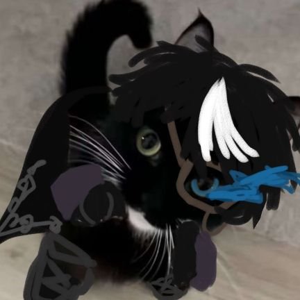 MushengDraconia's profile picture. 