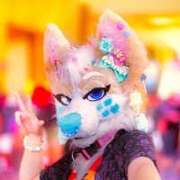 💗✨🧁CC The Corgi🧁✨💗 (@corgicc) 's Twitter Profile