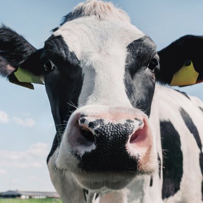 Frampy032's profile picture. 