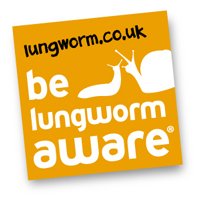 BeLungwormAware's profile image
