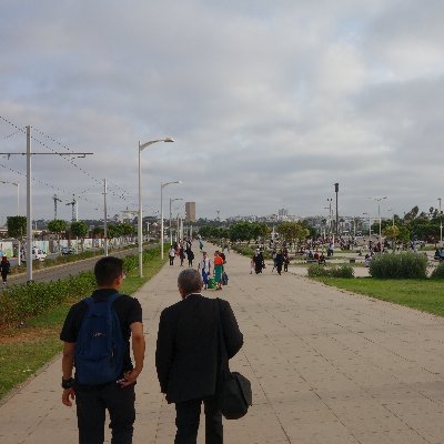 jangsunlight's profile picture. 