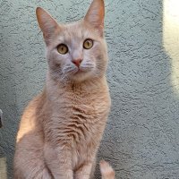 Daniela (@daniela60829552) 's Twitter Profile