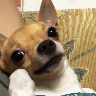 fytandrl's profile picture. inactive