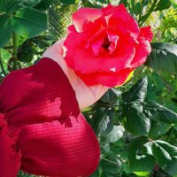 🇮🇷نعمتی (@z_nemati_iran) 's Twitter Profile Photo 🇮🇷نعمتی (@z_nemati_iran) 's Twitter Profile Photo