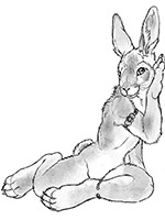 EtienneCaradas's profile picture. Photographer. Mountainbiker. Gamer. Bunny. 
Prince of a thousand enemies.