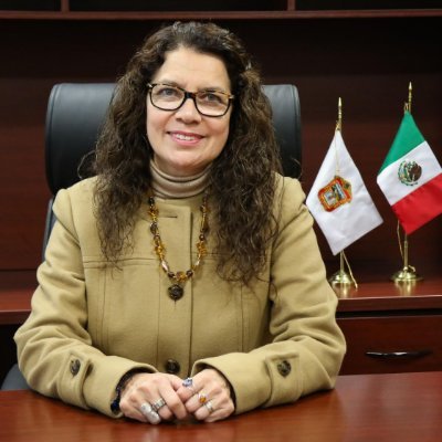Sayonara_Flores's profile picture. Consejera Electoral del IEEM
