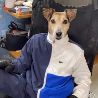 Hundmannen (@hemtillmidgard) 's Twitter Profile Photo Hundmannen (@hemtillmidgard) 's Twitter Profile Photo
