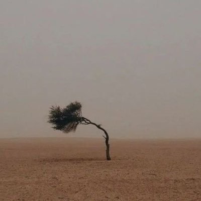 6wareq's profile picture. للشعر أنتمي .