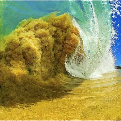 Ol_Pops01's profile picture. 