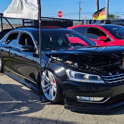 AliCamacho95's profile picture. 🇺🇸