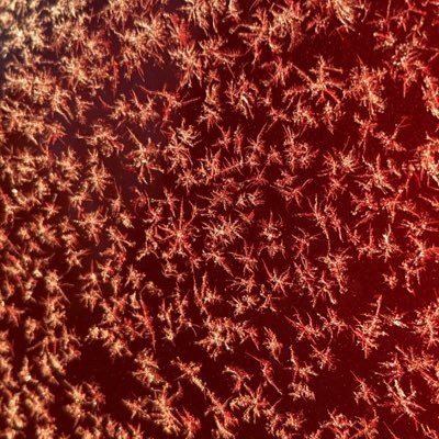 woody_rita's profile picture. 