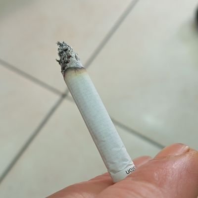 Mehmetzdem31805's profile picture. tek erkek