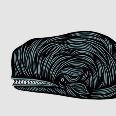 SneakyWhales's profile picture. ADA.ALGO.ONDO.POL.XRP