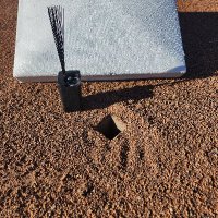 Michael (@thebaseplugguy) 's Twitter Profile
