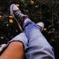 Sofia Campos (@scampos63141) 's Twitter Profile