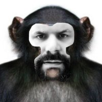 Dr kek (@drkekkkk) 's Twitter Profile