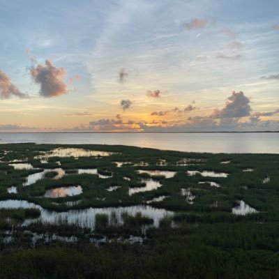 lanceabbott's profile picture. 