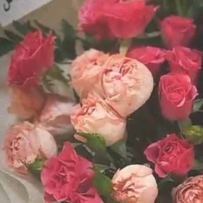 1997Fffff's profile picture. نجد الهوى المصيون عن كل منقود/// بالعصر الاول والعصور التوالي 🩵🩵🩵🩵🩵🩵🩵🩵🩵🩵