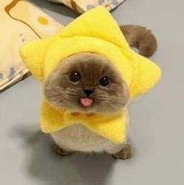 JeimiiiForMe's profile picture. I shall bring sunshine to your life 
♡(੭´͈ ᐜ `͈)੭ 🌄