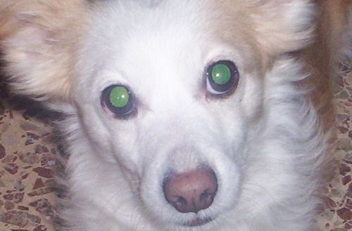 IOI_luis's profile picture. La risa no es mal comienzo para la amistad, y está lejos de ser un mal final.
Lo más que puedo hacer por mi amigo es, simplemente, ser su amigo.