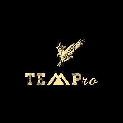 TEMPro24's profile picture. Filmmaking & Film Production Company