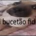 Jacinto Pinto (@jacintopin84807) Twitter profile photo Jacinto Pinto (@jacintopin84807) Twitter profile photo