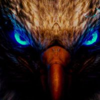 PEREIRA Joël (@eaglejoel13) 's Twitter Profile
