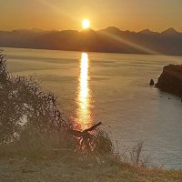 Ata telik açar (@atayilmaz89662) 's Twitter Profile Photo Ata telik açar (@atayilmaz89662) 's Twitter Profile Photo