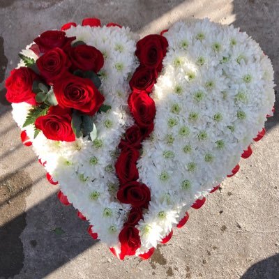 DaryaAlberta's profile picture. A wonderful woman with a great sense of humor , looking for the right soul partner to live forever with