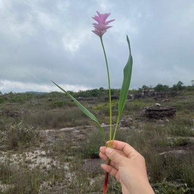 kenNguyen251094's profile picture. 