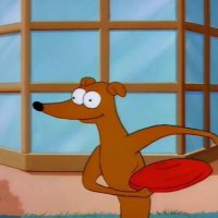 Guy Incognito (@eltapatio08) 's Twitter Profile Photo