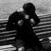 Mendes (@mendesttk7_) Twitter profile photo Mendes (@mendesttk7_) Twitter profile photo