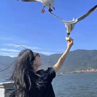 登封-足控💧反差 (@comdebugta) 's Twitter Profile