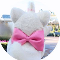 りら (@oli020_r) 's Twitter Profile