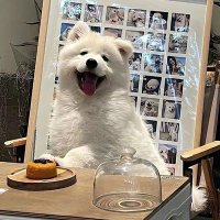 kk (@tuk3572868074) 's Twitter Profile