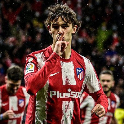 seferovicfv's profile picture. seferovic = goat🐐