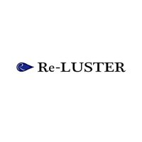 鏡面洗車屋reluster (@reluster6) 's Twitter Profile
