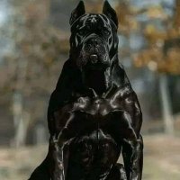 KingDavid of web3 🐳 (@kweb361046) 's Twitter Profile