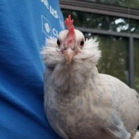 Auntie Deb (@sunibuni244971) 's Twitter Profile