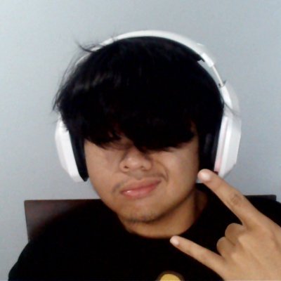 wesleyvllgs's profile picture. bawat piyesa.