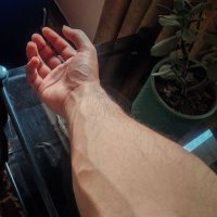Sakata (@ginpresent) 's Twitter Profile