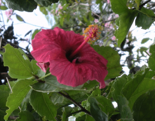 Meliedw's profile picture. Professeur de Lettres #lecture #cinema #veille #EMI #ouvertureculturelle